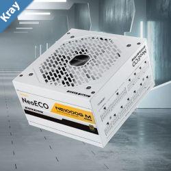 Antec NE 1000w 80 Gold FullyModular ATX 3.0 PCIe 5.0 120mm Silent Fan Japanese Caps ATX Power Supply PSU10 Years Warranty