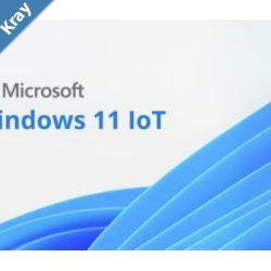 Microsoft Windows 11 IOT Multi Language